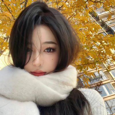 肯尼迪刺杀证明 高清封面